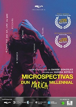 Microspectivas dun marica millennial